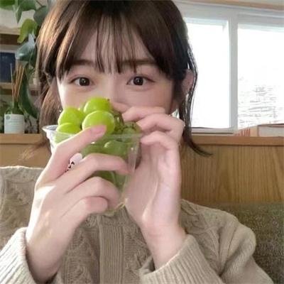 森林